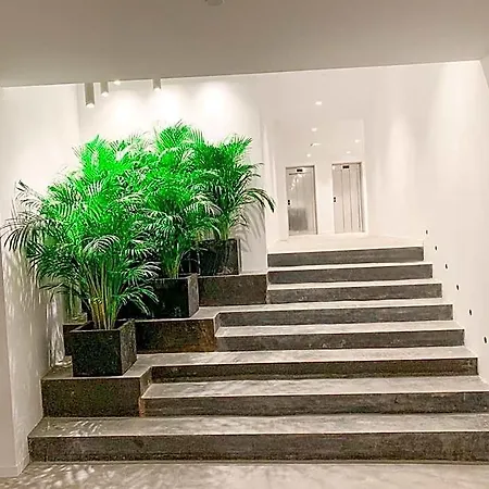 Paradiso Garden Hotel Playa de Palma (Mallorca)