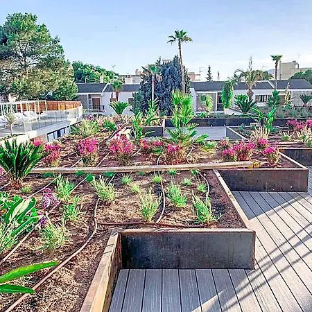 Paradiso Garden