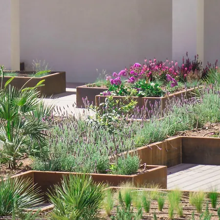 Paradiso Garden 4*